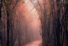 热那亚主场告捷，实现保级目标